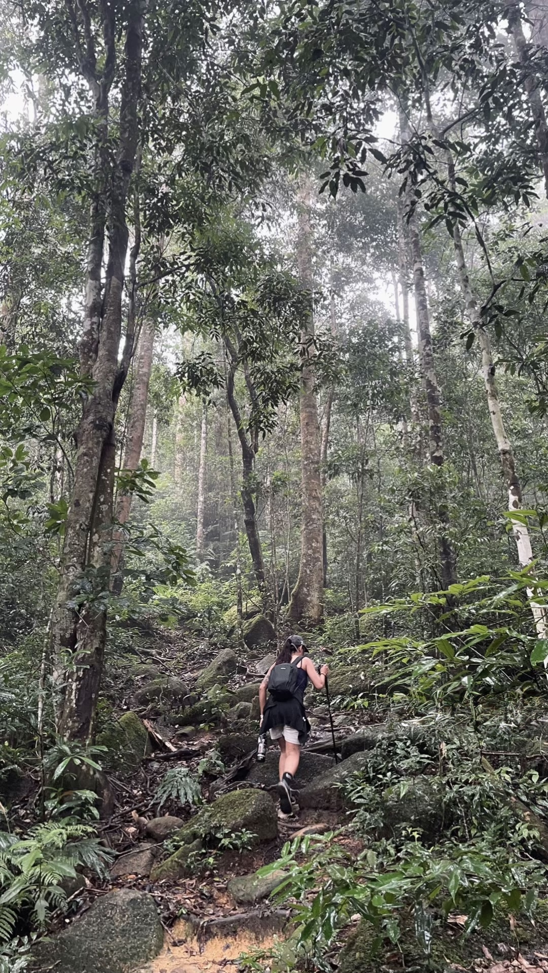 Discover the Cardaman Mountain