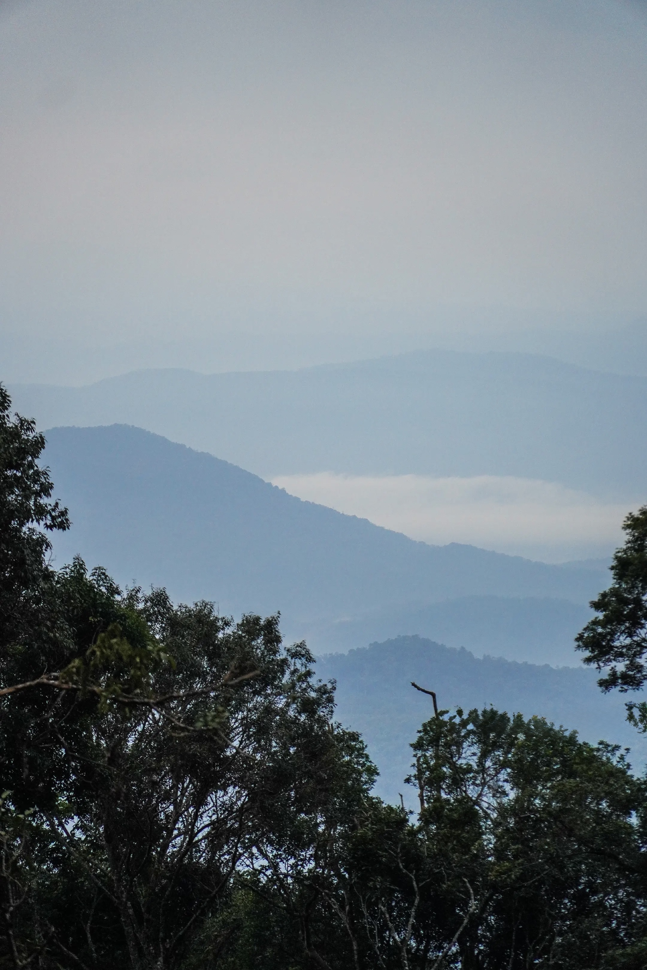 Eco-lodges Community